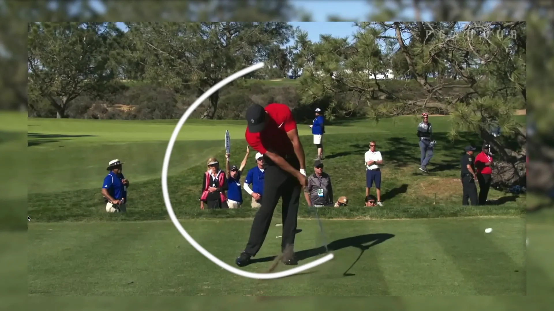 Golf swing