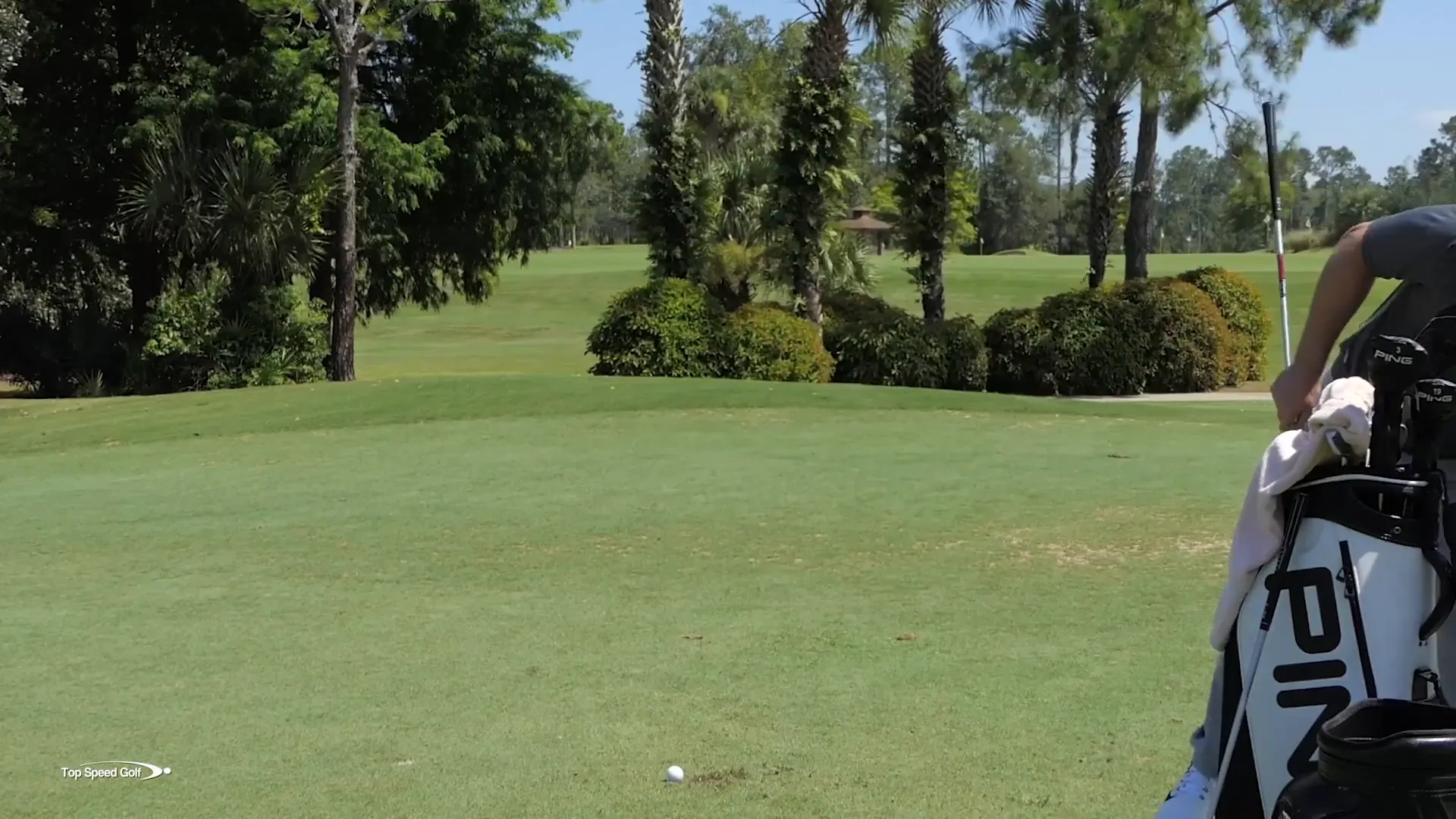 Using a brush to clean the wedge