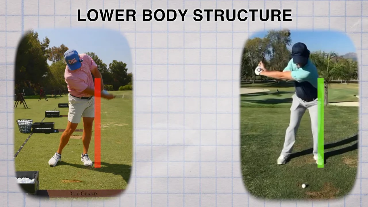Lower body structure comparison with red and green vertical reference lines