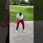 video thumbnail for 'Chunking & Thinning out of the Bunker... WATCH THIS!'