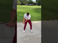 video thumbnail for 'Chunking & Thinning out of the Bunker... WATCH THIS!'
